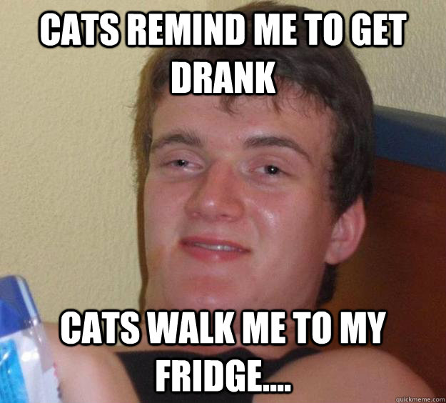 Cats remind me to get drank Cats walk me to my fridge....  10 Guy