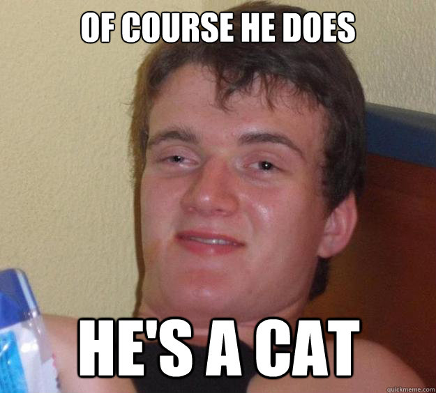 Of course he does he's a cat  10 Guy