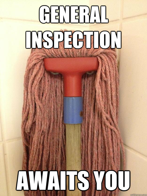 General inspection awaits you  Insanity Mop