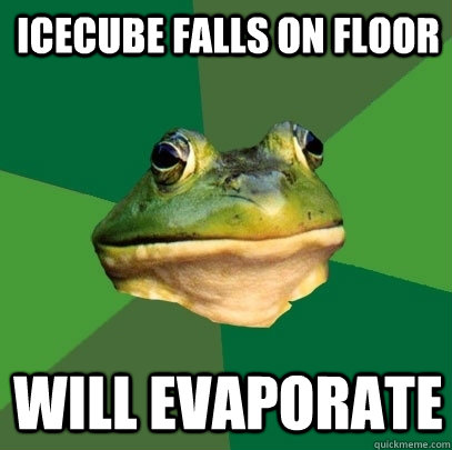 Icecube falls on floor will evaporate - Icecube falls on floor will evaporate  Foul Bachelor Frog