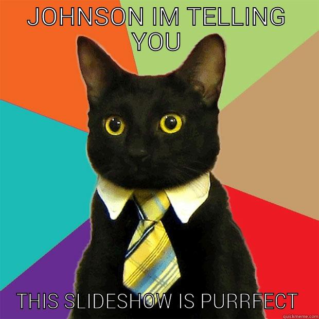 JOHNSON IM TELLING YOU THIS SLIDESHOW IS PURRFECT Business Cat