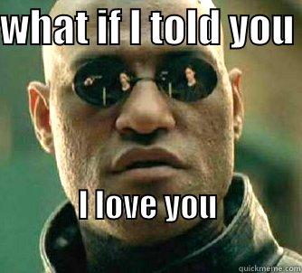 WHAT IF I TOLD YOU  I LOVE YOU                                          Matrix Morpheus