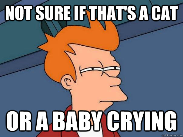 Not sure if that's a cat  Or a baby crying - Not sure if that's a cat  Or a baby crying  Futurama Fry