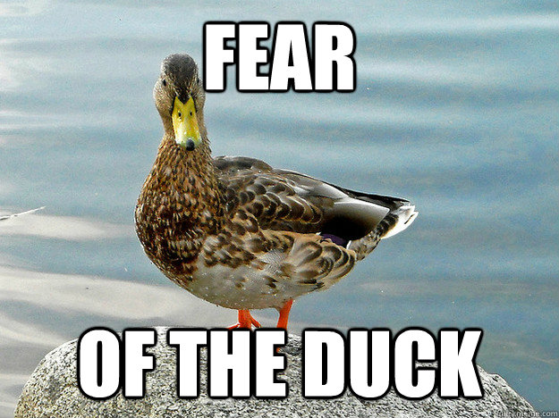 Fear Of the Duck - Fear Of the Duck  Misc