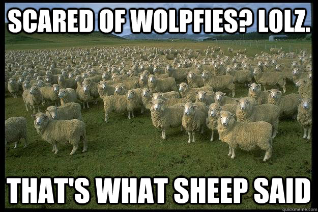 scared of wolpfies? lolz. that's what sheep said - scared of wolpfies? lolz. that's what sheep said  Misc