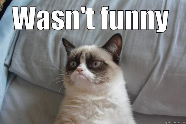 Wasn't funny - WASN'T FUNNY  Grumpy Cat