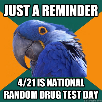 Just a reminder  4/21 is national random drug test day  Paranoid Parrot