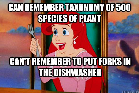 Can remember taxonomy of 500 species of plant Can't remember to put forks in the dishwasher  Disney Logic