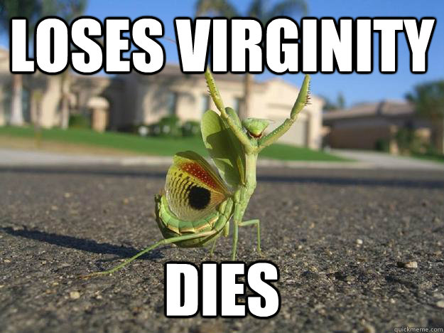 Loses Virginity Dies - Loses Virginity Dies  Bad Luck Mantis