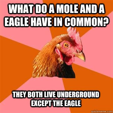 What do a mole and a eagle have in common?  THey both live underground except the eagle  Anti-Joke Chicken