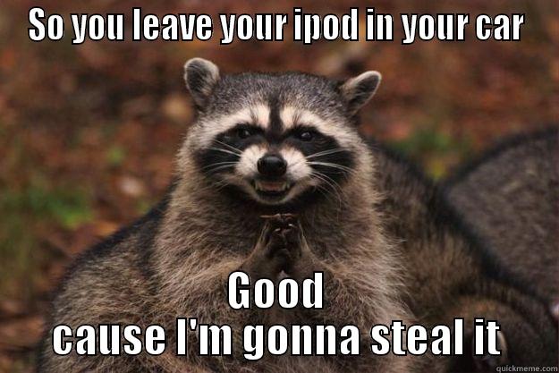 SO YOU LEAVE YOUR IPOD IN YOUR CAR GOOD CAUSE I'M GONNA STEAL IT Evil Plotting Raccoon