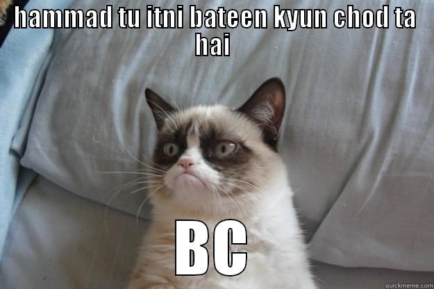 HAMMAD TU ITNI BATEEN KYUN CHOD TA HAI  BC Grumpy Cat