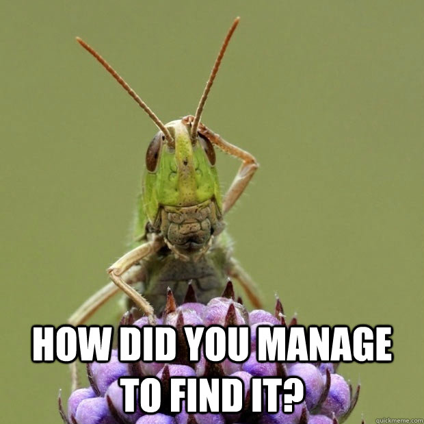  How did you manage to find it? -  How did you manage to find it?  Confused grasshopper