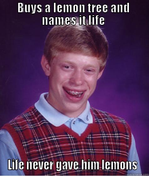 BUYS A LEMON TREE AND NAMES IT LIFE LIFE NEVER GAVE HIM LEMONS  Bad Luck Brian