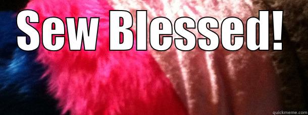 Sew Blessed! - SEW BLESSED!  Misc