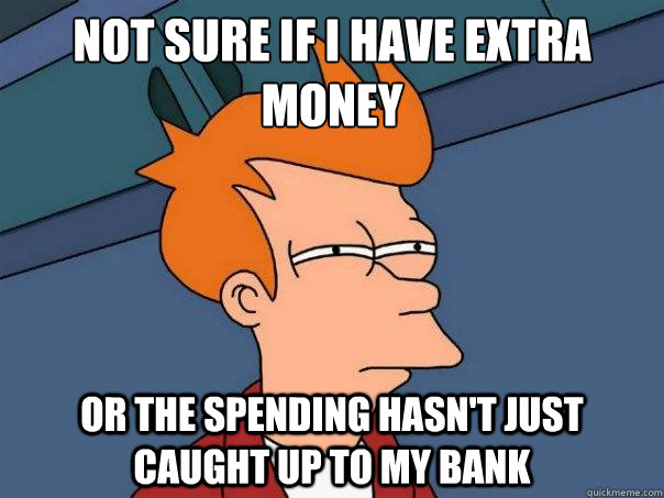 Not sure if I have extra money Or the spending hasn't just caught up to my bank - Not sure if I have extra money Or the spending hasn't just caught up to my bank  Futurama Fry