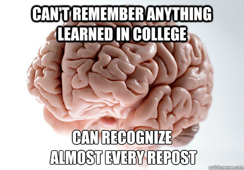 can't remember anything learned in college Can recognize
 almost every repost  Scumbag Brain