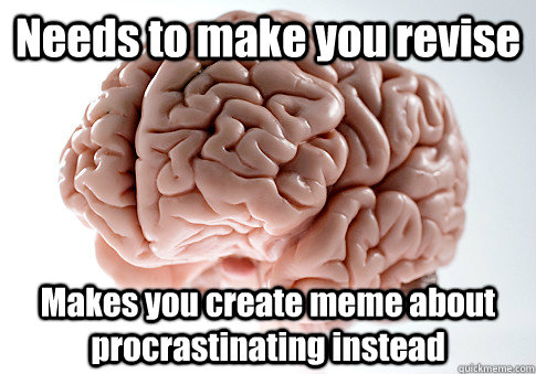 Needs to make you revise Makes you create meme about procrastinating instead  Scumbag Brain