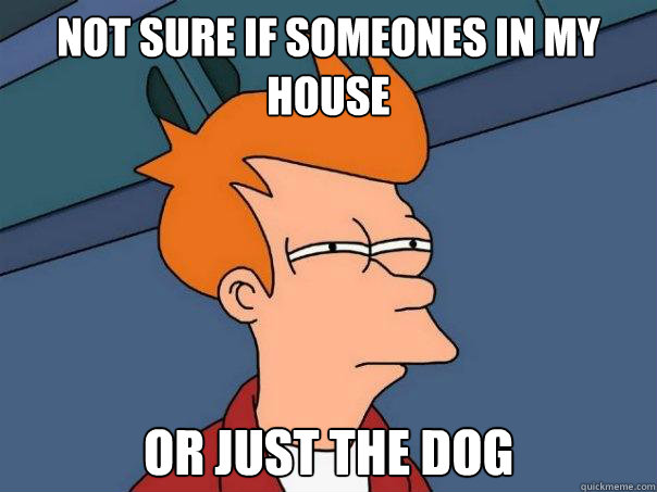 Not sure if someones in my house Or just the dog  Futurama Fry