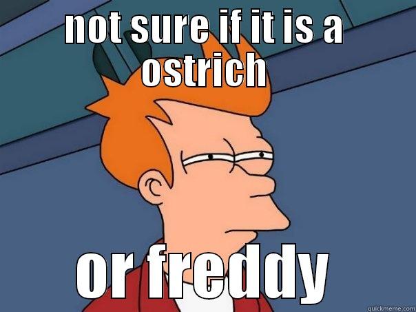 is this funny enough ? - NOT SURE IF IT IS A OSTRICH OR FREDDY Futurama Fry