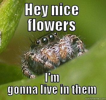 HEY NICE FLOWERS I'M GONNA LIVE IN THEM Misunderstood Spider