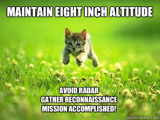 maintain eight inch altitude avoid radar
gather reconnaissance
mission accomplished!  