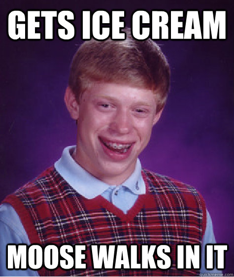 gets ice cream moose walks in it  Bad Luck Brian