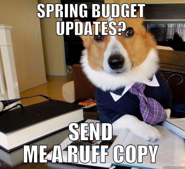 SPRING BUDGET UPDATES? SEND ME A RUFF COPY Lawyer Dog