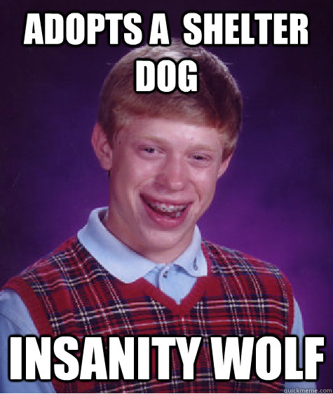 Adopts a  shelter dog Insanity wolf  Bad Luck Brian