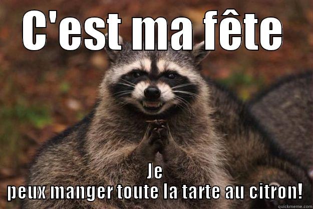 C'EST MA FÊTE JE PEUX MANGER TOUTE LA TARTE AU CITRON! Evil Plotting Raccoon