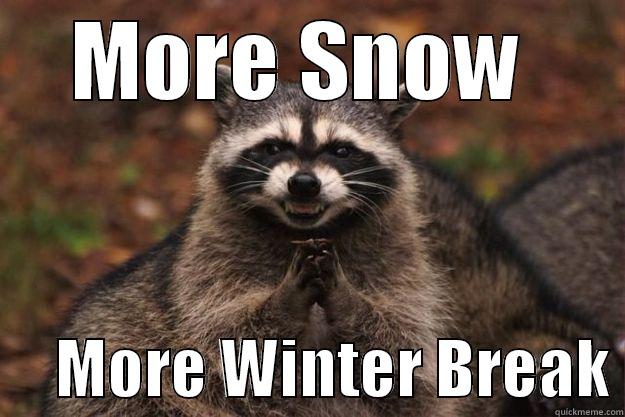 More snowdays - MORE SNOW       MORE WINTER BREAK Evil Plotting Raccoon