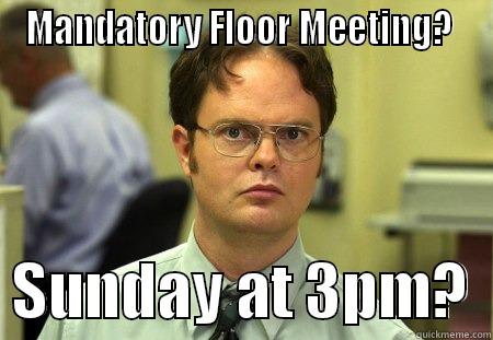 MANDATORY FLOOR MEETING?    SUNDAY AT 3PM?  Schrute