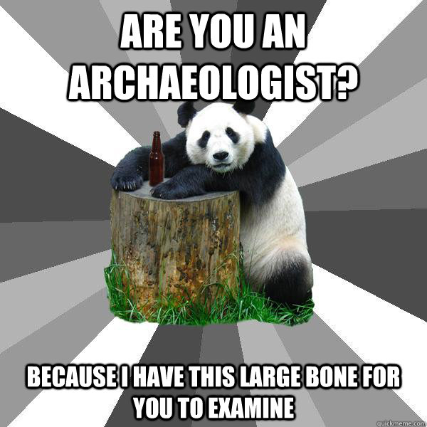 ARE YOU AN ARCHAEOLOGIST? BECAUSE I HAVE THIS LARGE BONE FOR YOU TO EXAMINE  Pickup-Line Panda