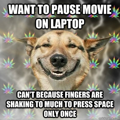 Want to pause movie on laptop Can't because fingers are shaking to much to press space only once  Stoner Dog