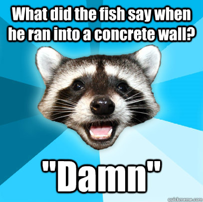 What did the fish say when he ran into a concrete wall? 