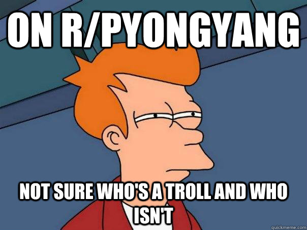 On r/pyongyang Not sure who's a troll and who isn't - On r/pyongyang Not sure who's a troll and who isn't  Futurama Fry