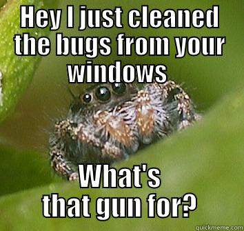 HEY I JUST CLEANED THE BUGS FROM YOUR WINDOWS  WHAT'S THAT GUN FOR? Misunderstood Spider