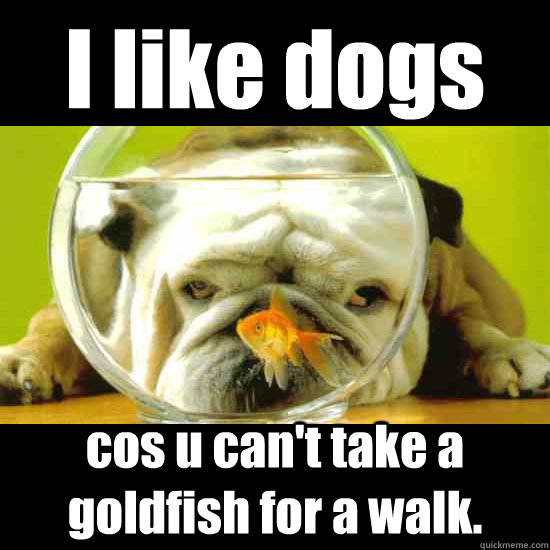 I like dogs cos u can't take a goldfish for a walk.  Dog fish