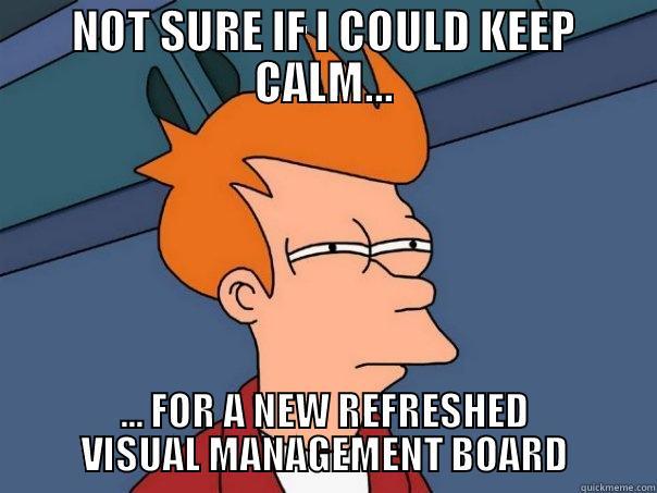 KAIZEN 3 - NOT SURE IF I COULD KEEP CALM... ... FOR A NEW REFRESHED VISUAL MANAGEMENT BOARD Futurama Fry