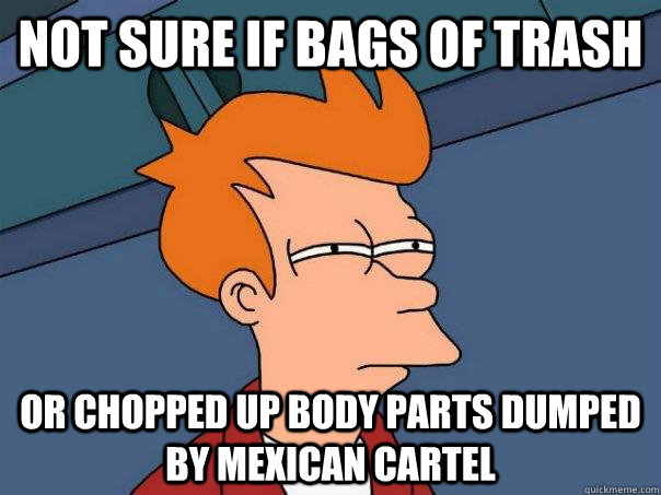 Not sure if bags of trash Or chopped up body parts dumped by mexican cartel  Futurama Fry