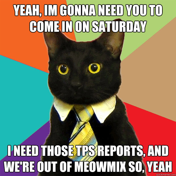 Yeah, im gonna need you to come in on saturday  i need those tps reports, and we're out of meowmix so, yeah - Yeah, im gonna need you to come in on saturday  i need those tps reports, and we're out of meowmix so, yeah  Business Cat