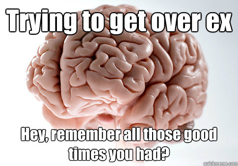 Trying to get over ex Hey, remember all those good times you had?   Scumbag Brain