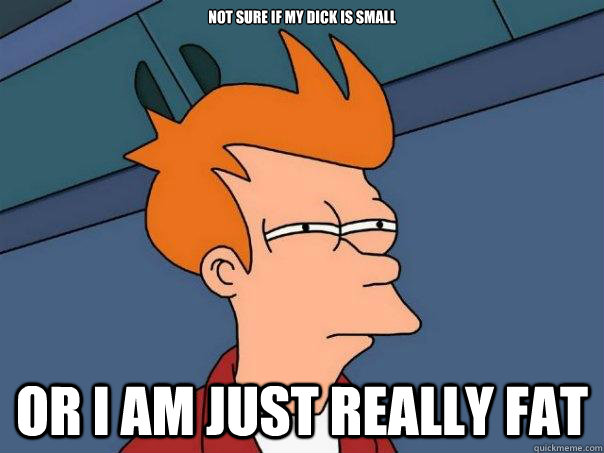 not sure if my dick is small or i am just really fat  Futurama Fry