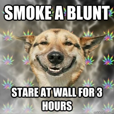 smoke a blunt Stare at wall for 3 hours  Stoner Dog