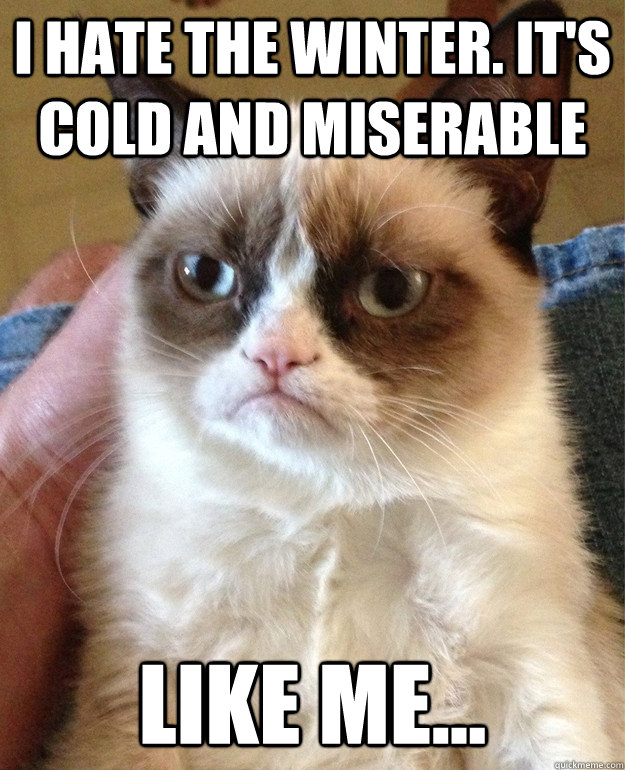 I hate the winter. it's cold and miserable like me...  Grumpy Cat