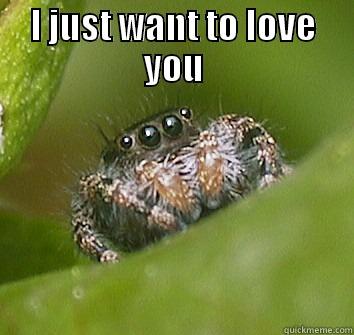 I JUST WANT TO LOVE YOU  Misunderstood Spider