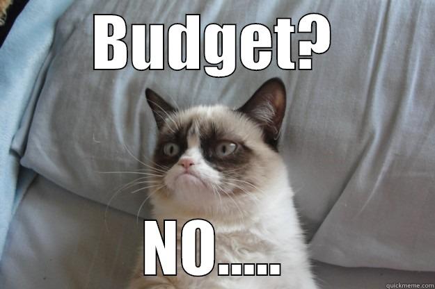 This is why I was Grumpy on Monday - BUDGET? NO..... Grumpy Cat