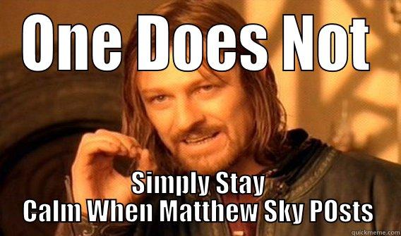 Mathe22 :) - ONE DOES NOT SIMPLY STAY CALM WHEN MATTHEW SKY POSTS One Does Not Simply