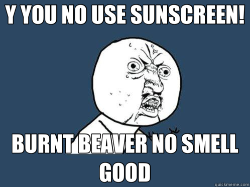 Y YOU NO USE SUNSCREEN! BURNT BEAVER NO SMELL GOOD  Y U No