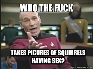 who the fuck takes picures of squirrels having sex?  Annoyed Picard